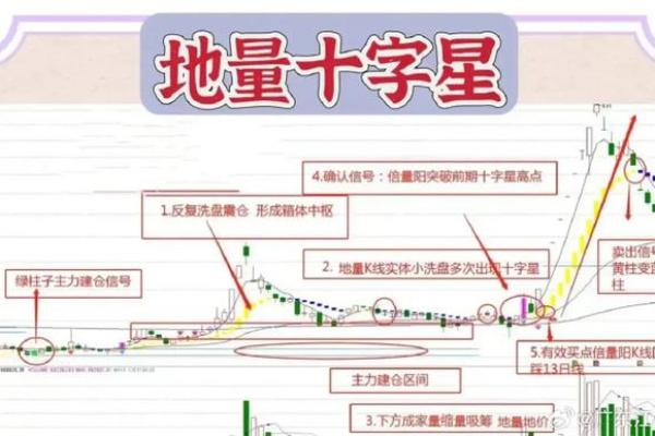 分析股票上涨的关键因素与投资策略