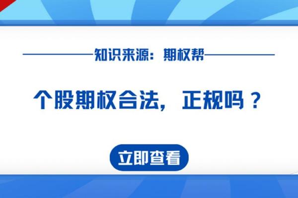 深入解析期权交易：如何入门与操作技巧